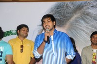Green Signal Movie Pressmeet